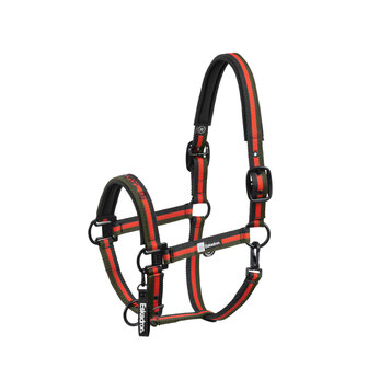 Eskadron Halster Double Pin Dynamic AW25