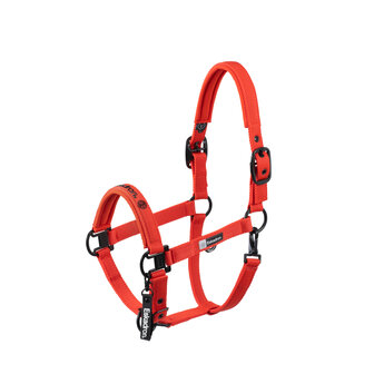 Eskadron Halster Double Pin Dynamic AW25