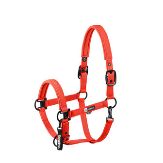 Eskadron Halster Sparkle Double Pin Dynamic AW25