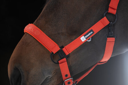 Eskadron Halster Sparkle Double Pin Dynamic AW25