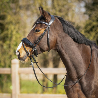 QHP Hoofdstel Skye