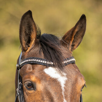 QHP Hoofdstel Skye