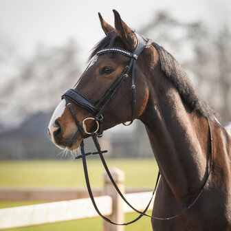 QHP Hoofdstel Skye