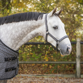 QHP Halsterset Turnout Collectie