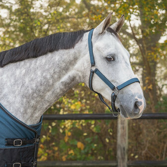 QHP Halsterset Turnout Collectie