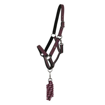 QHP Halsterset Turnout Collectie