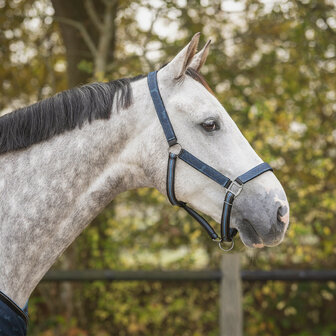 QHP Halsterset Turnout Collectie