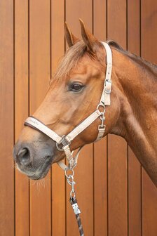 Harry&rsquo;s Horse Halsterset Satin Eli