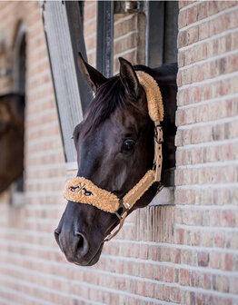 HV Polo Halster Teddy