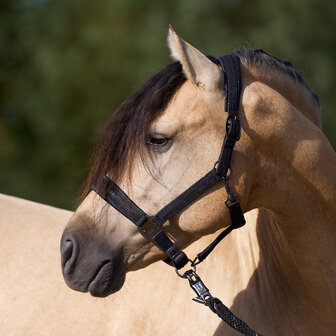 Imperial Riding Halster Sparkle