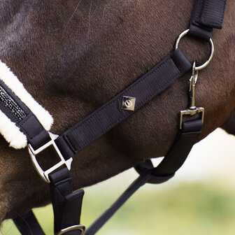 Imperial Riding Halster Jewel