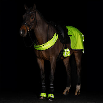 Imperial Riding reflecterend borsttuig