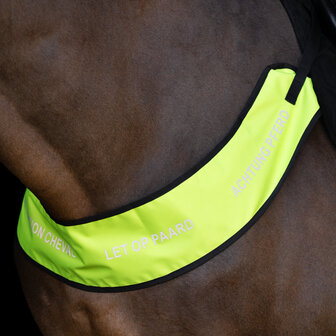 Imperial Riding reflecterend borsttuig