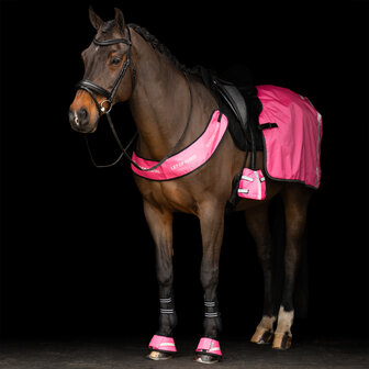 Imperial Riding reflecterend borsttuig