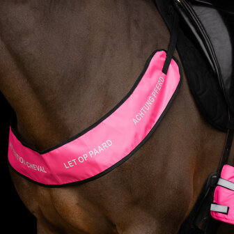 Imperial Riding reflecterend borsttuig