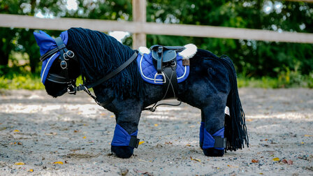 Pony Academy Mini-pony Eclair