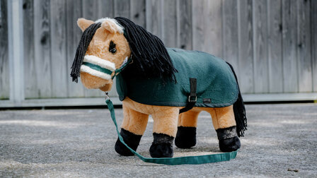 Pony Academy Mini-pony Caramel