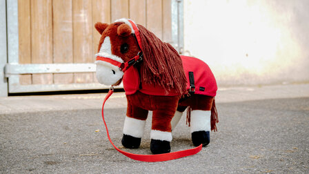 Pony Academy Mini-pony Jumpy