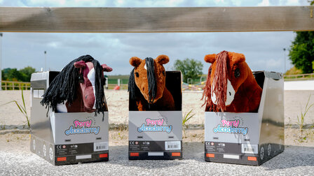 Pony Academy Mini-pony Jumpy