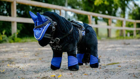 Pony Academy Mini-hoofdstel