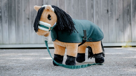 Pony Academy Mini-halster met touw