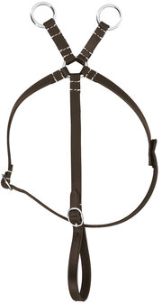 Pony Academy Mini-martingaal