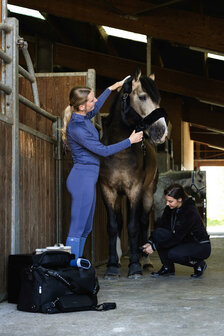 EquiTheme Rijbroek Elsa