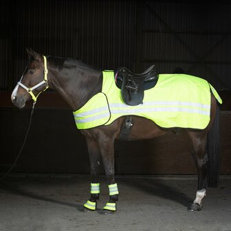 Harry&#039;s Horse Uitrijdeken Reflective Waterproof