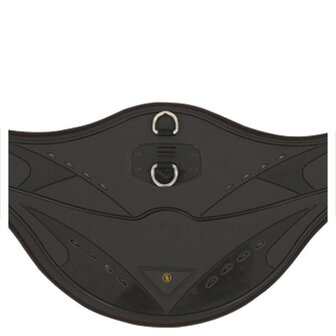 BR Springsingel Poly Anatomic