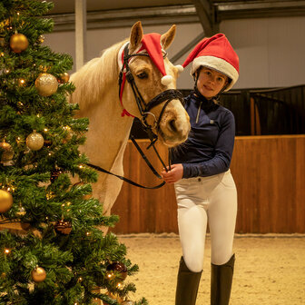 QHP Kerstmuts paard