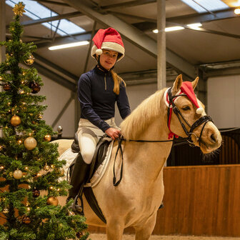 QHP Kerstmuts paard