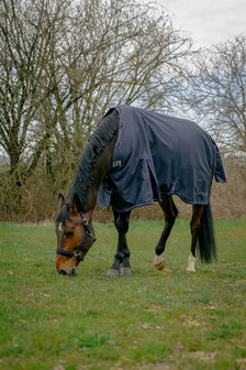 EquiTheme Regendeken Anatomic Combo