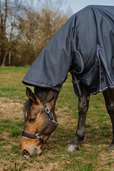 EquiTheme Regendeken Anatomic Combo