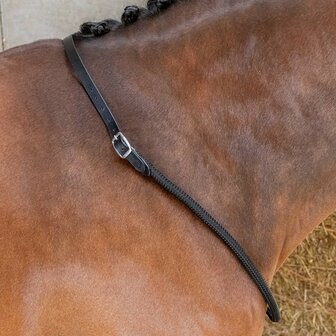Harry&rsquo;s Horse Neckrope Balancer
