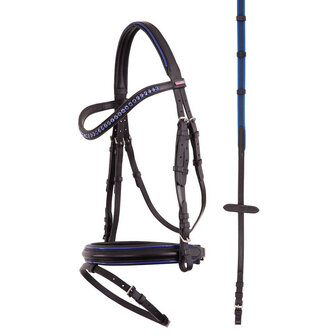 Premiere Hoofdstel Nantes