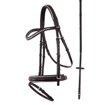 Premiere Hoofdstel Nantes