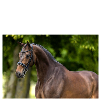 BR Stang &amp; Trens Hoofdstel Wendover