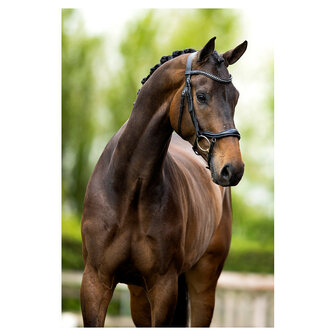 BR Hoofdstel Stanley