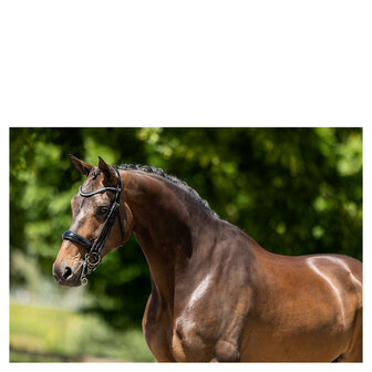 BR Stang &amp; Trens Hoofdstel Keswick