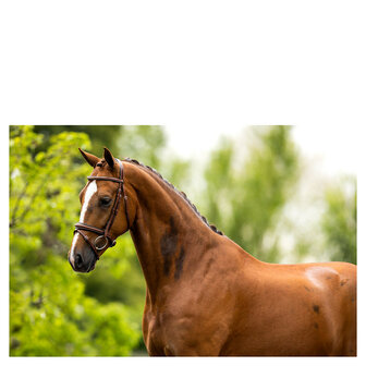 BR Hoofdstel Cheltenham