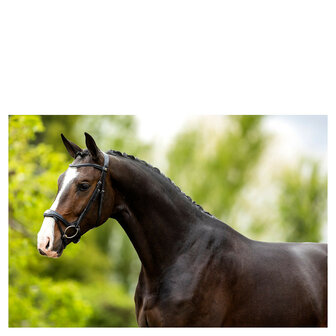 BR Hoofdstel Longridge