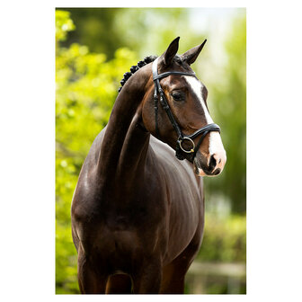 BR Hoofdstel Longridge