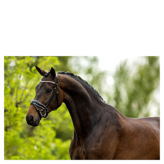 BR Hoofdstel Plymouth