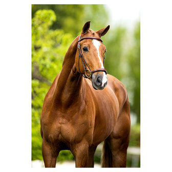 BR Hoofdstel Thurnham