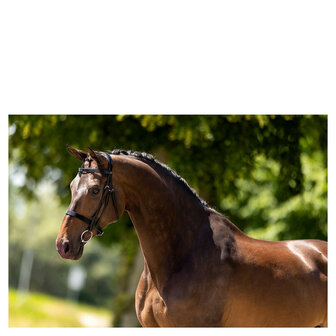 BR Hunter Hoofdstel Kempston