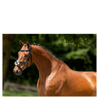 BR Mexicaans Hoofdstel Grantham