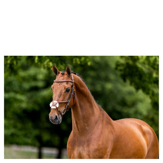 BR Mexicaans Hoofdstel Grantham