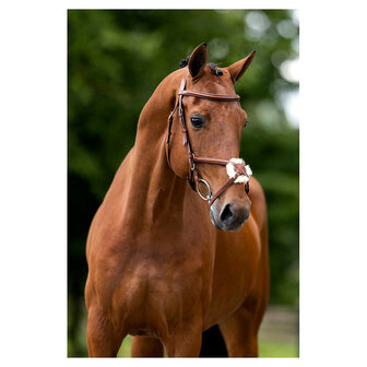 BR Mexicaans Hoofdstel Grantham