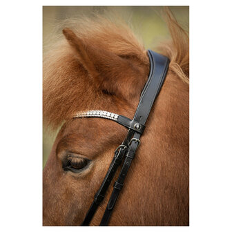 BR IJslander Hoofdstel Barnet