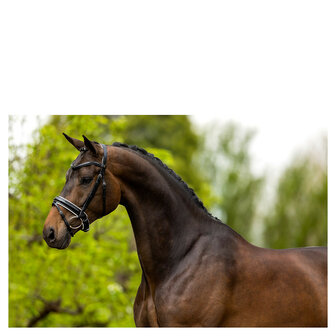 BR Hoofdstel Kingston